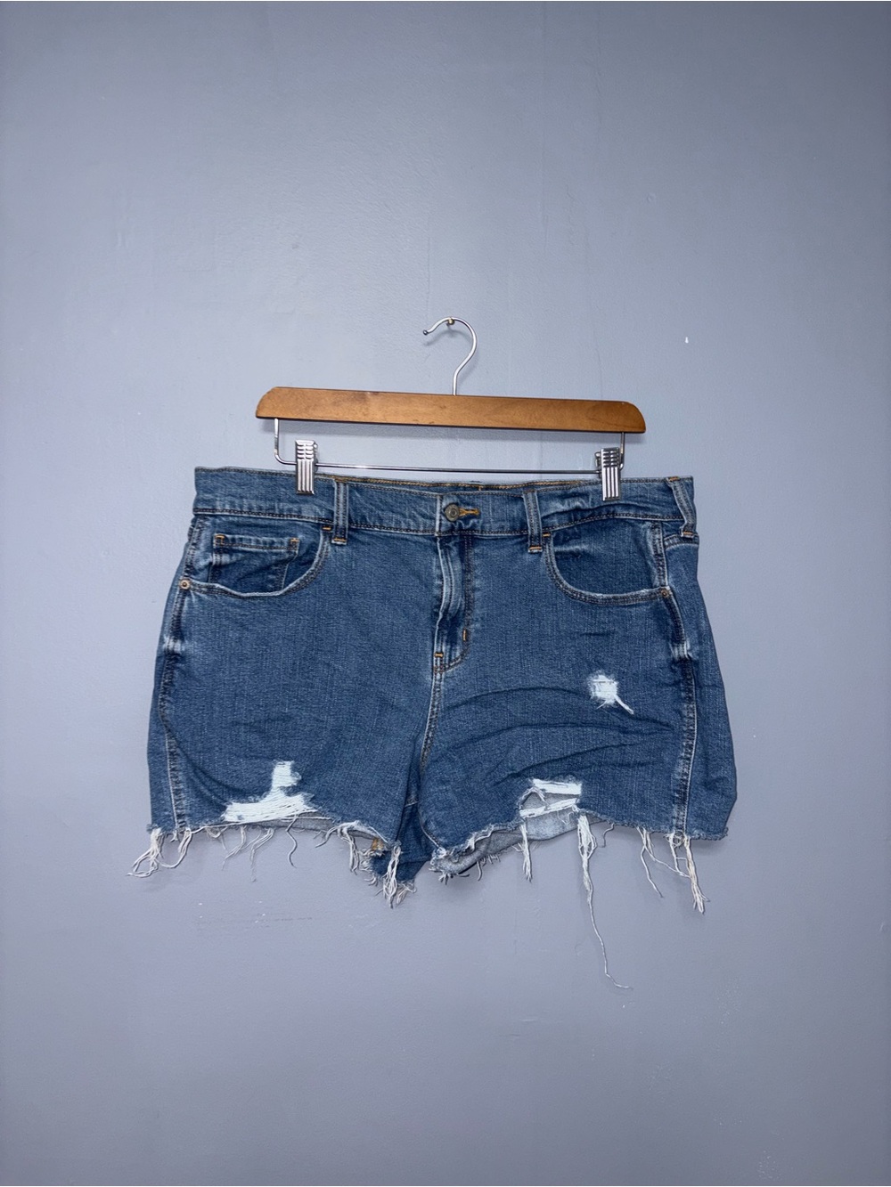Old Navy | Distressed Jean Shorts | Size 14